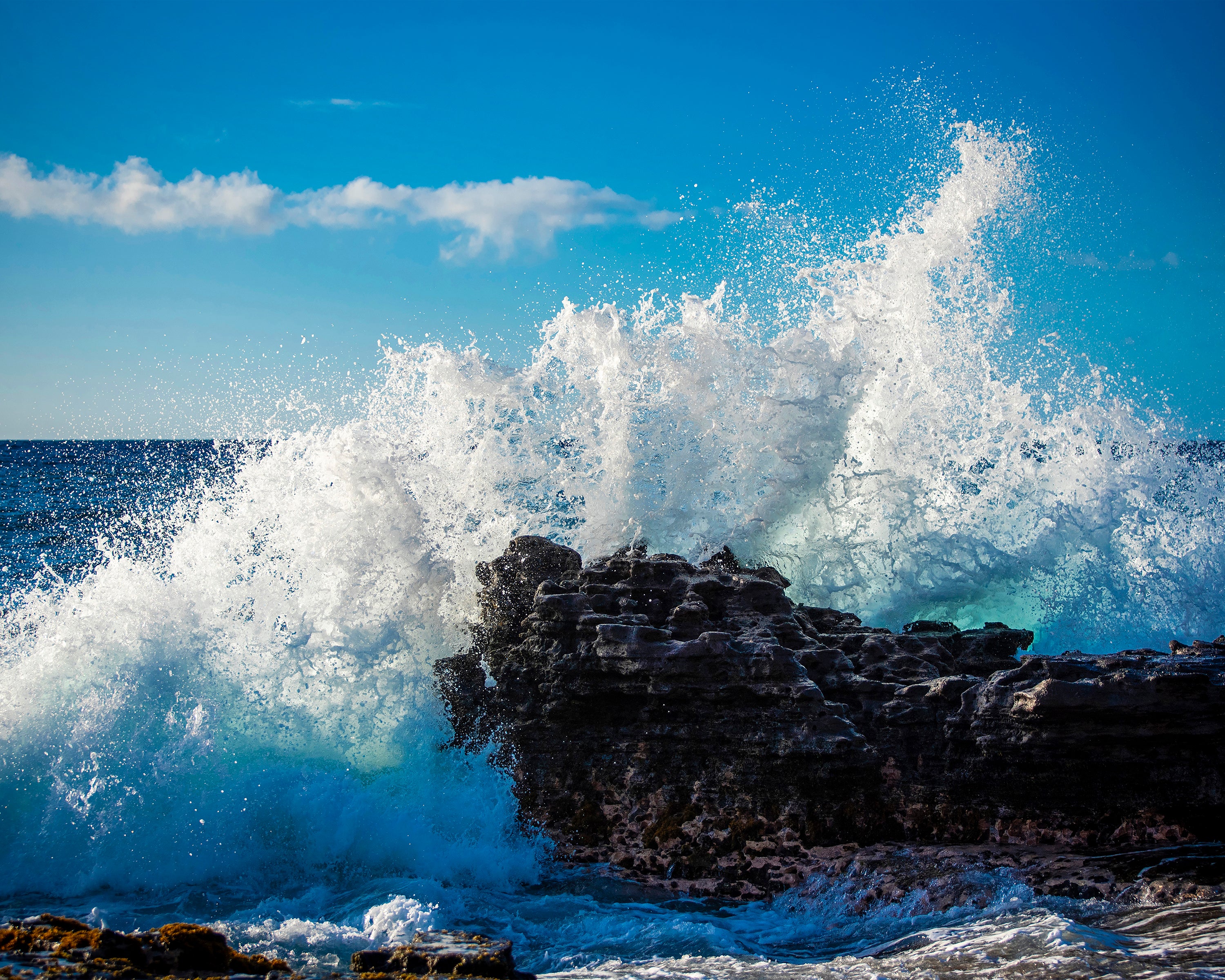 Powerful ocean wave crashing on volcanic rock in Oahu Hawaii - 16x20 metal print