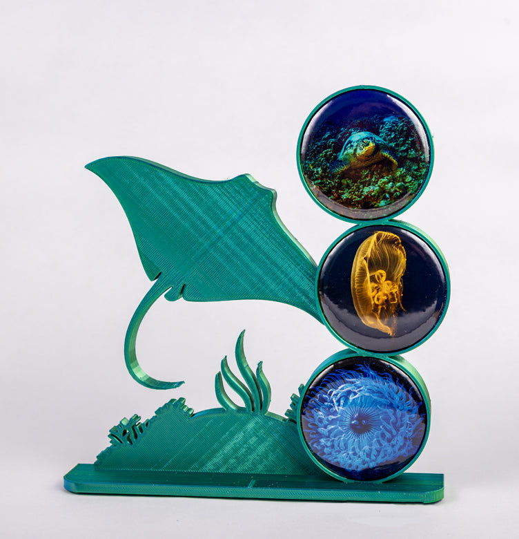 Manta Ray Photomagnet Frame