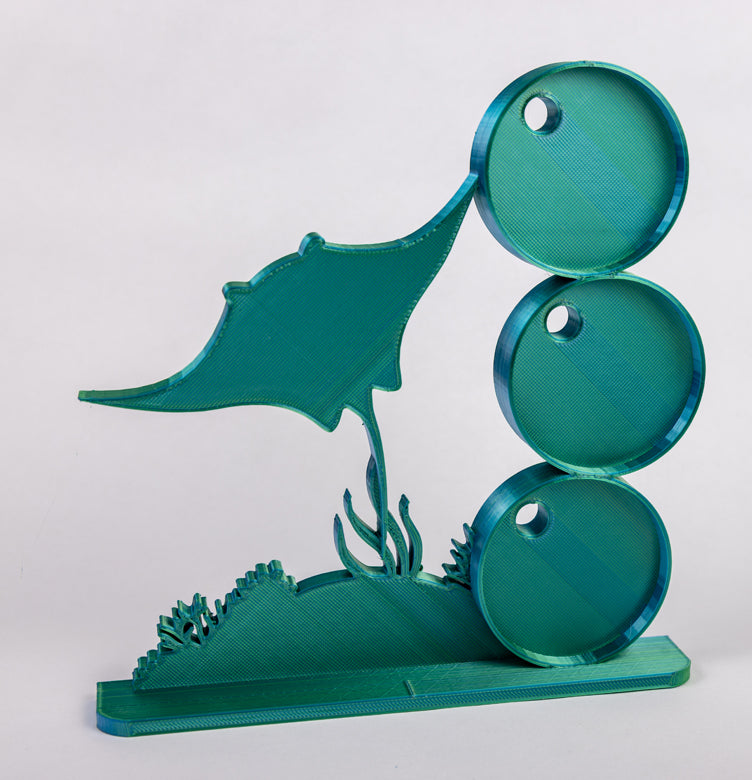 Manta Ray Photomagnet Frame