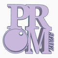 Prom Tabletop Photomagnet Frame